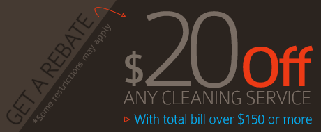 $20 Off on Any Cleaning Service