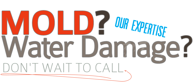 Water Damages? Mold? Call Now!