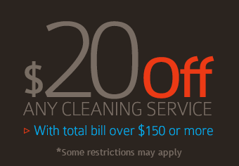 $20 Rebate on Any Cleaning Service