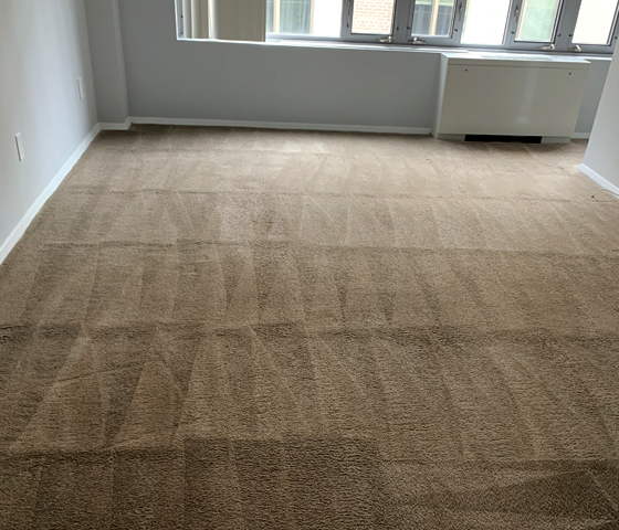 Carpet Cleaning Service