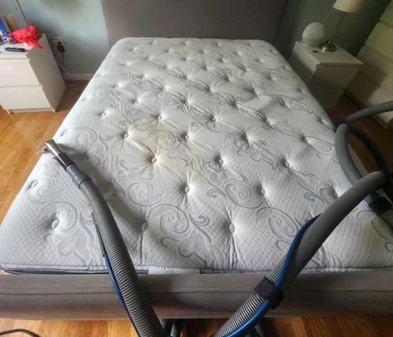 Mattress Cleaning Service