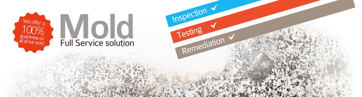 Mold Inspection & Testing in DC