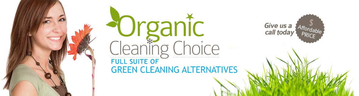 Green Cleaning Solutions