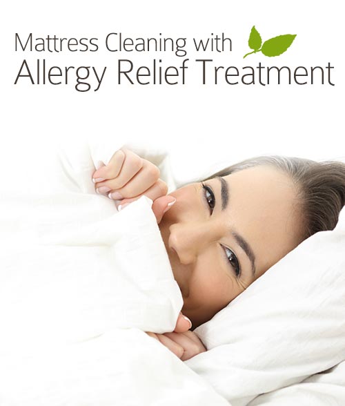 Mattress Cleaning DC