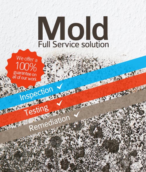 Mold Inspection & Testing in DC
