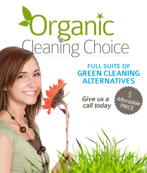 Green Cleaning Solutions